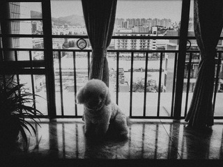 120410A001.jpg