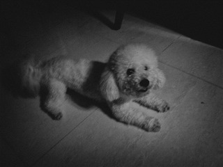 120501A004.jpg