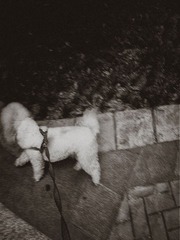 120525A050.jpg