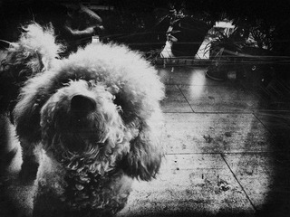 120530A004.jpg
