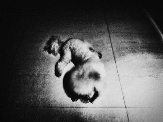 120621A007.jpg