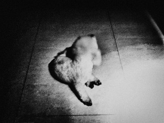 120621A011.jpg
