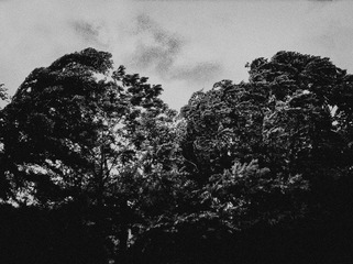 120626A000.jpg