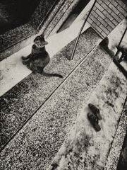 IMAGE00048.jpg