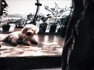 080706A003.jpg