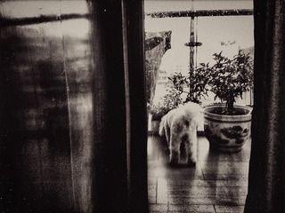 120712A009.jpg