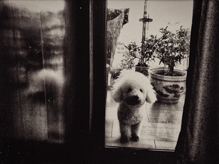 120712A010.jpg