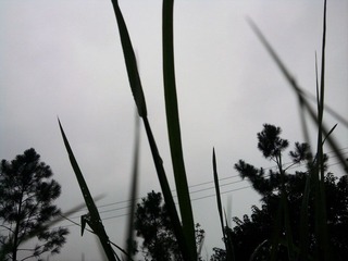 照片0817.jpg