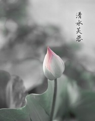 _DSC3521