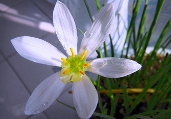 SDC12793.JPG