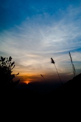 DSC00067.jpg