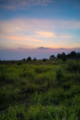 DSC00077.jpg