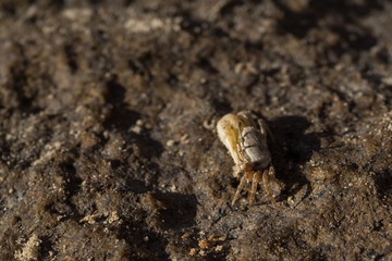 DSC00314.jpg