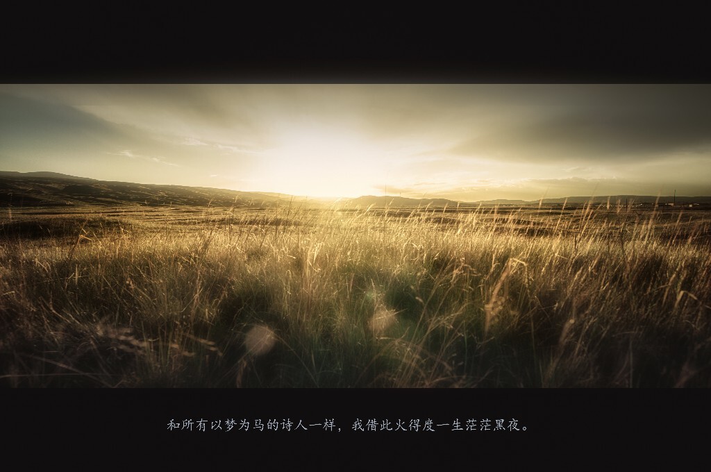 和所有以梦为马的诗人一样 我借此火得度一生的茫茫黑夜