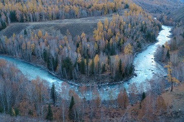 _SON1037