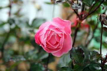 IMG_05100.jpg