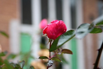 IMG_05130.jpg