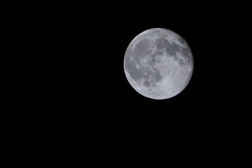 IMG_0424-1