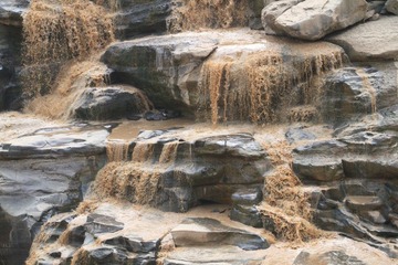 IMG_2950.JPG