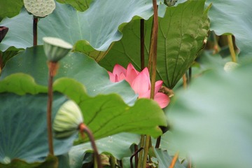 IMG_2192.JPG