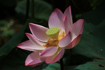 IMG_2321.JPG
