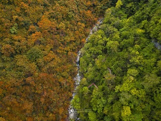 巴山秋水