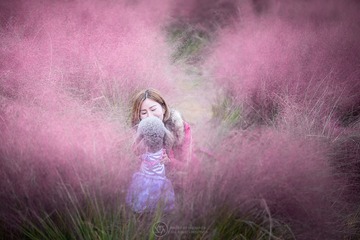 公主梦