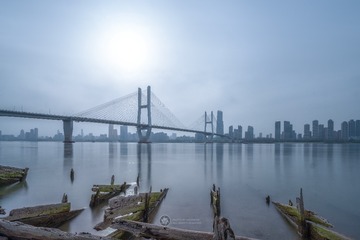 桥城白日光