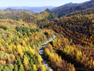 DJI_20241023110757_0021_D