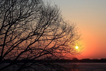 IMG_0244.jpg