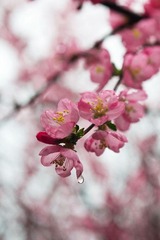 IMG_0606.jpg