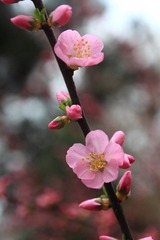 IMG_0518.JPG