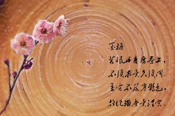 墨梅.jpg