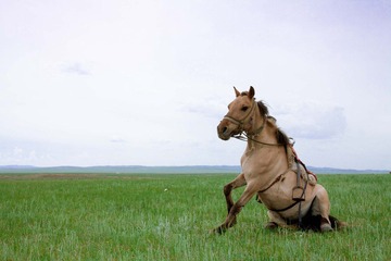 IMG_0050.jpg