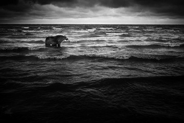 IMG_2546_s