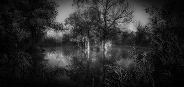 IMG_3414_s