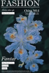 DDF7D44B-50C5-4E08-910B-0FAC29D090E6/L0/001
