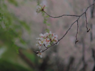 4D816CA6-217B-4E3F-8D2F-B14ED57129D3/L0/001