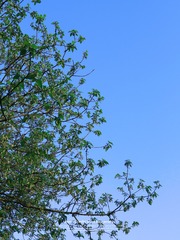 0A0E6716-74C0-4955-9298-975E1DB0ACB2/L0/001