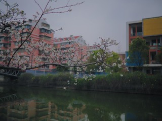 A91BDF16-3D53-46E1-9A09-0A87946F3741/L0/001