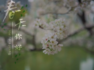C67A5B2E-A68C-4263-BA98-D7C7687ED606/L0/001
