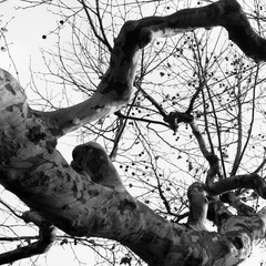 L1000867.jpg