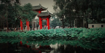1600_IMG_0534.jpg