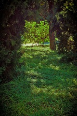02 (8).jpg