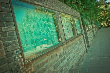 02 (40).jpg
