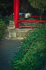 02 (43).jpg