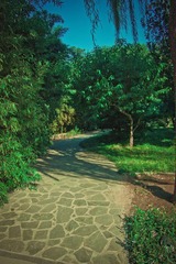 02 (44).jpg