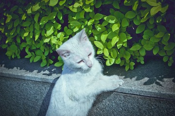 我妩媚吧？.jpg