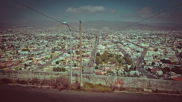 DSC (37).jpg