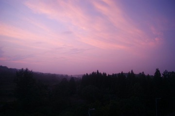 DSC01784.JPG